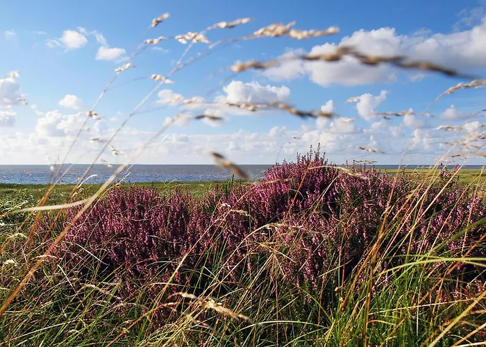 Nige Ooge 9 * Cuxhaven